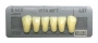 STECCA DENTI VITA MFT anteriori inferiori